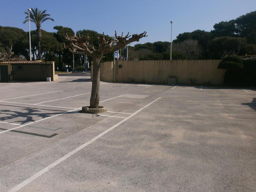 מלון סן-סיר-סור-מר Au Tapis De Sable מראה חיצוני תמונה